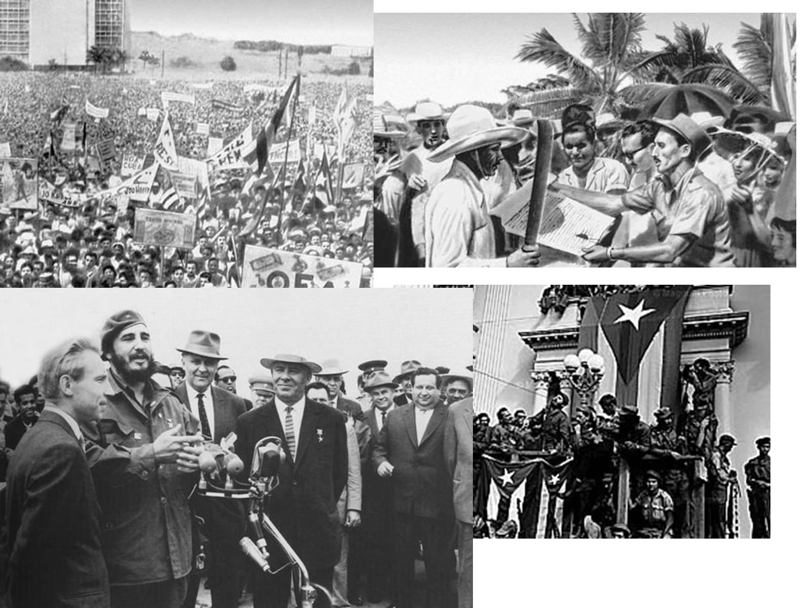 Презентація на тему «Кубинська революція. Фідель Кастро» - Слайд #13