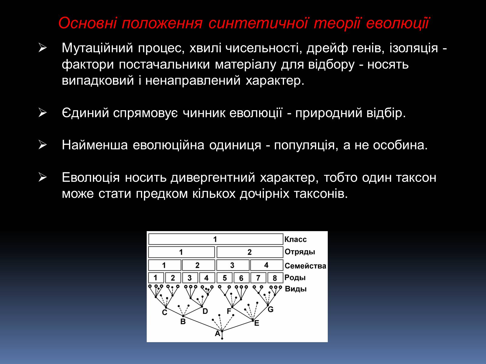 Презентація на тему «Синтетична теорія еволюції» (варіант 1) - Слайд #13
