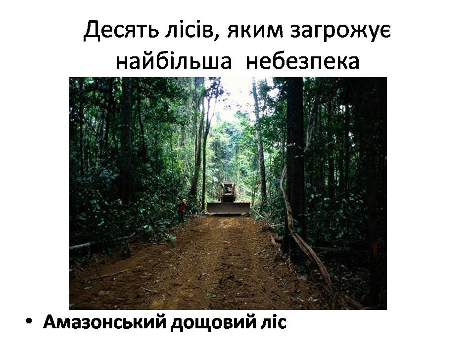 Презентація на тему «Знищення лісів» (варіант 2) - Слайд #18