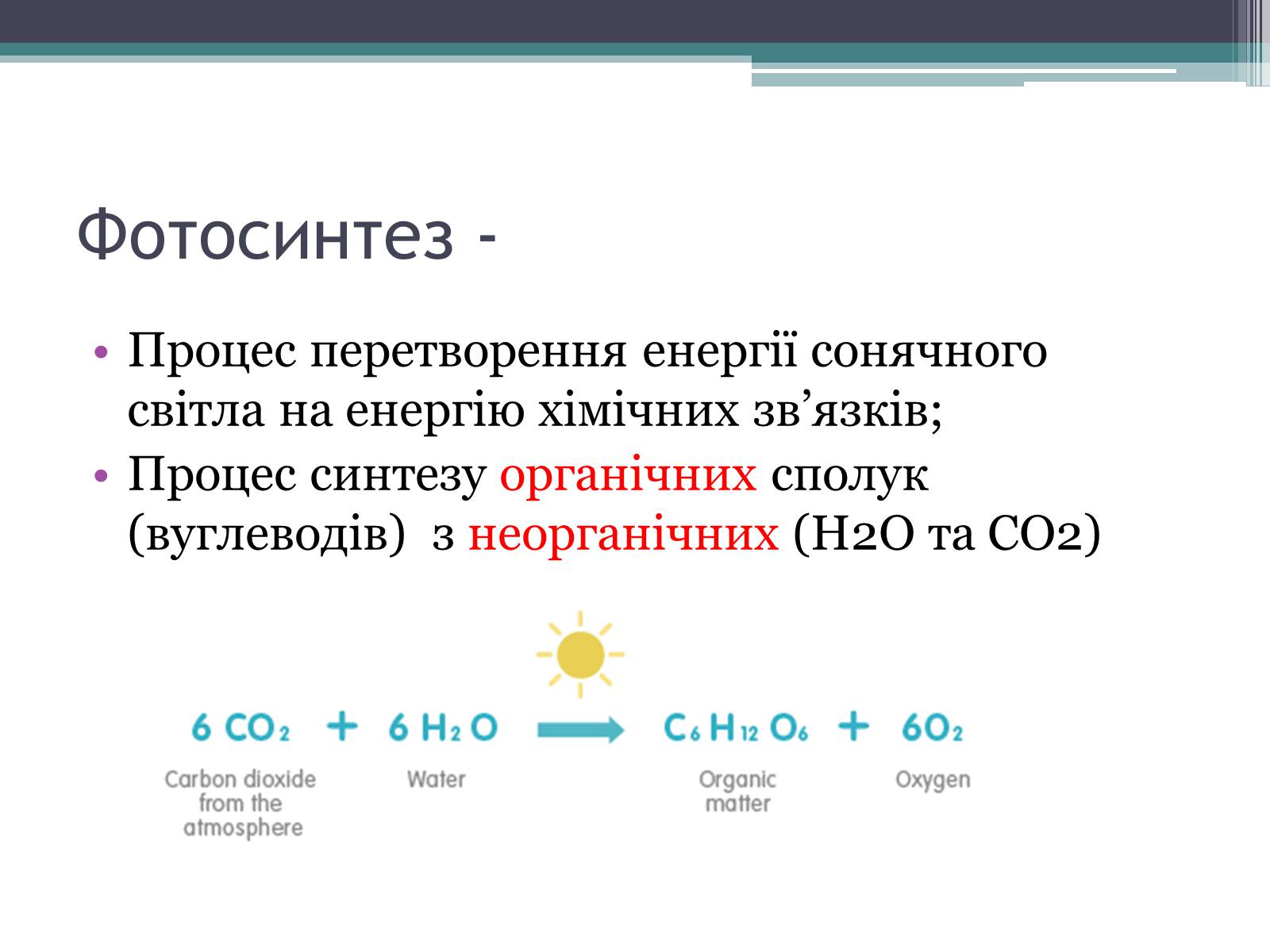 Презентація на тему «Фотосинтез» (варіант 2) - Слайд #2