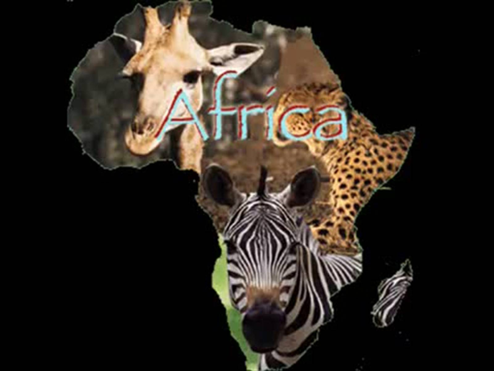 Презентація на тему «Культура африканського континенту» - Слайд #25