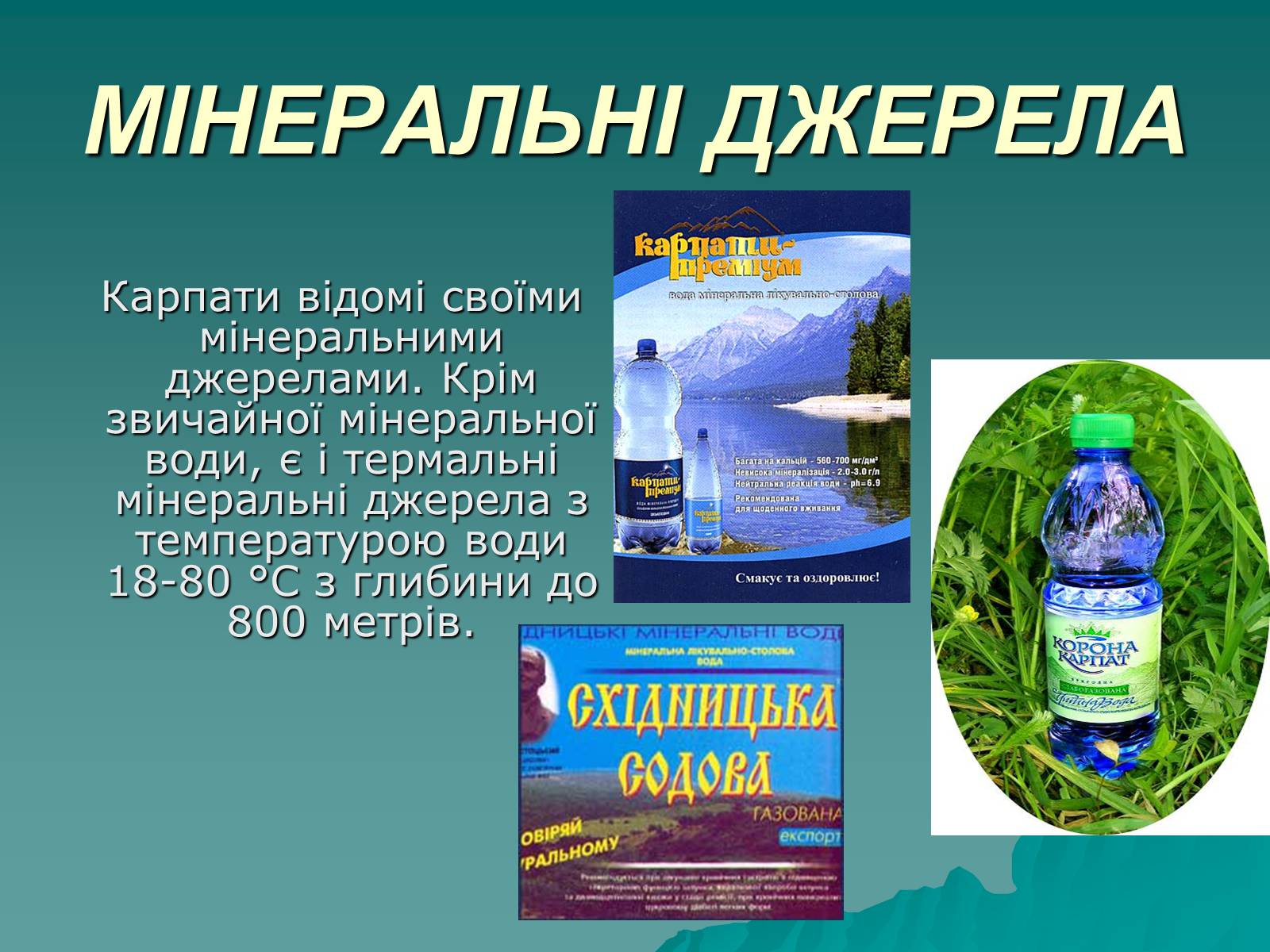 Презентація на тему «Українські Карпати» (варіант 5) - Слайд #11
