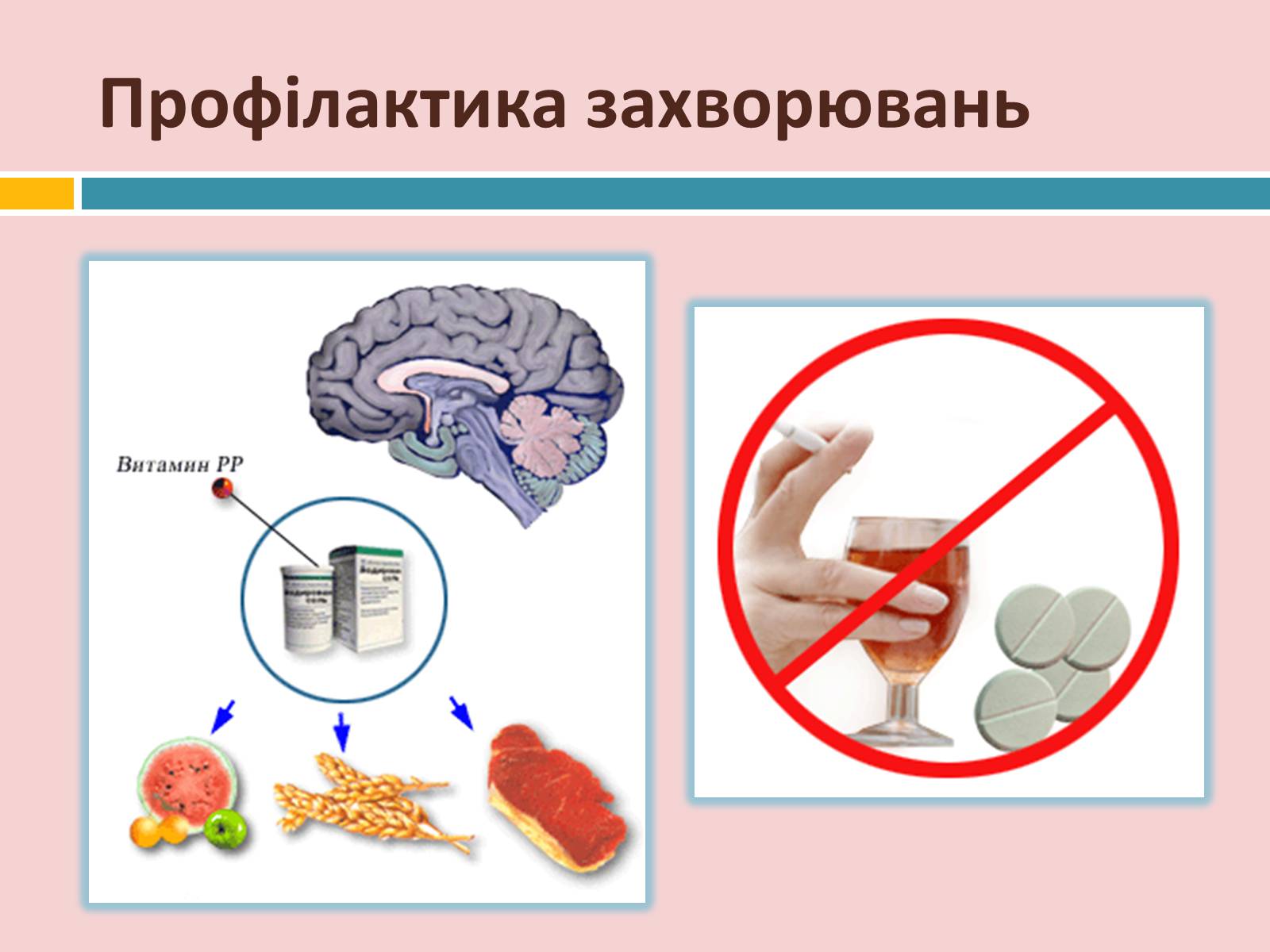 Презентація на тему «Головний мозок» (варіант 2) - Слайд #36