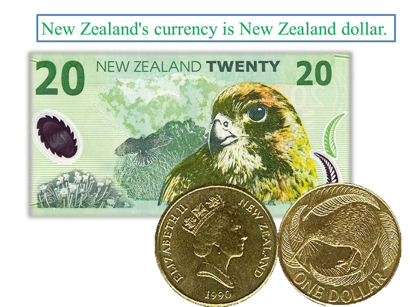 Презентація на тему «Flag and Emblem of New Zealand» - Слайд #12