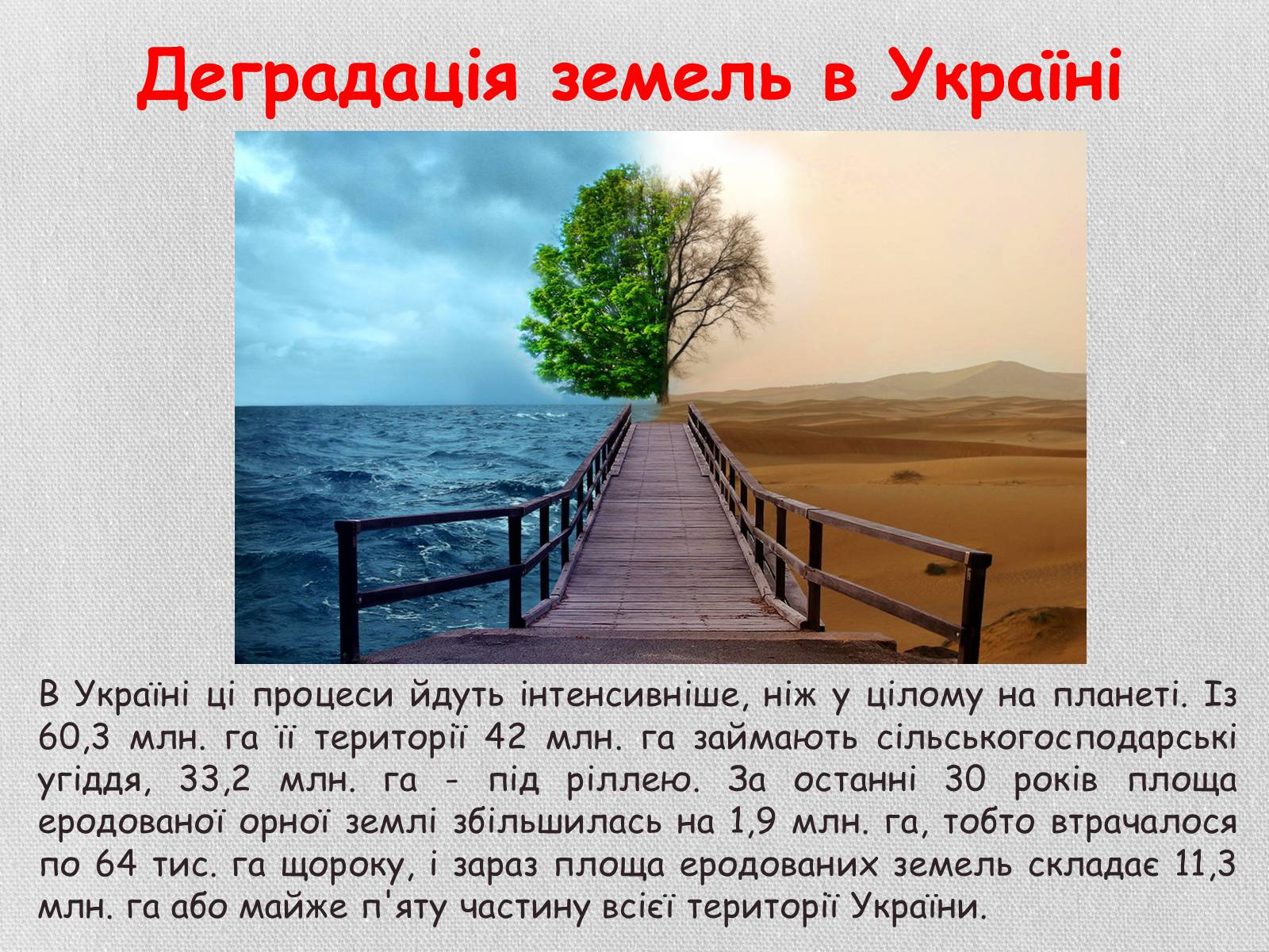 Презентація на тему «Деградація грунтів України» - Слайд #21