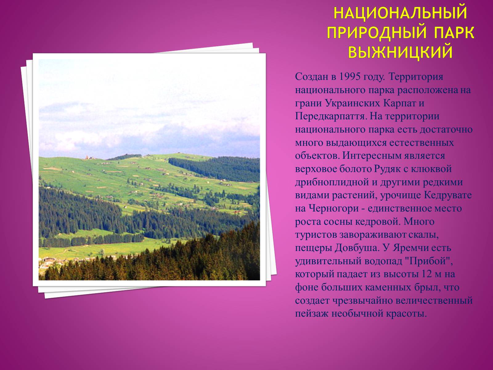 Презентація на тему «Украинские места-заповедники 20 века» - Слайд #8