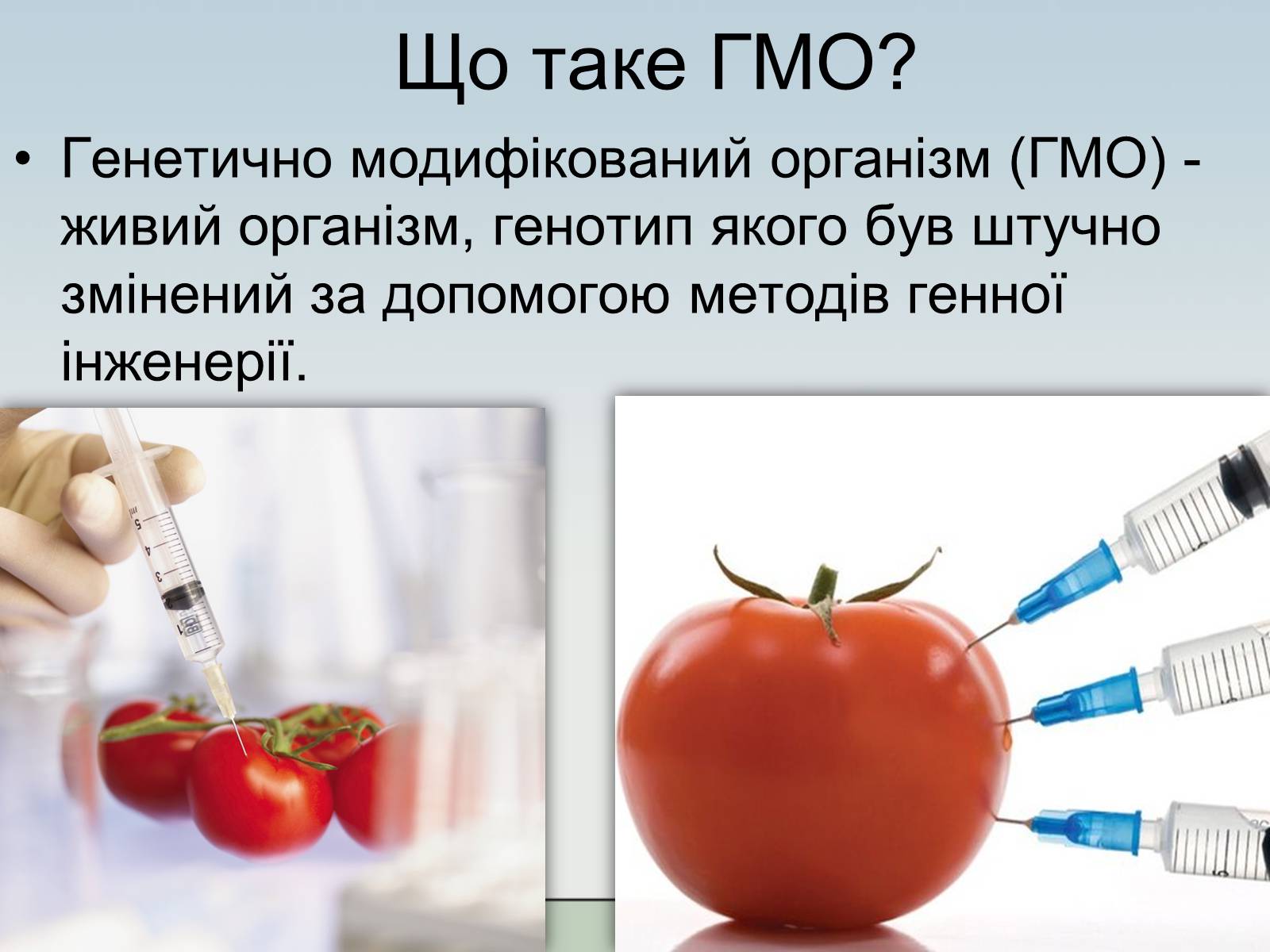 Презентація на тему «ГМО» (варіант 1) - Слайд #3