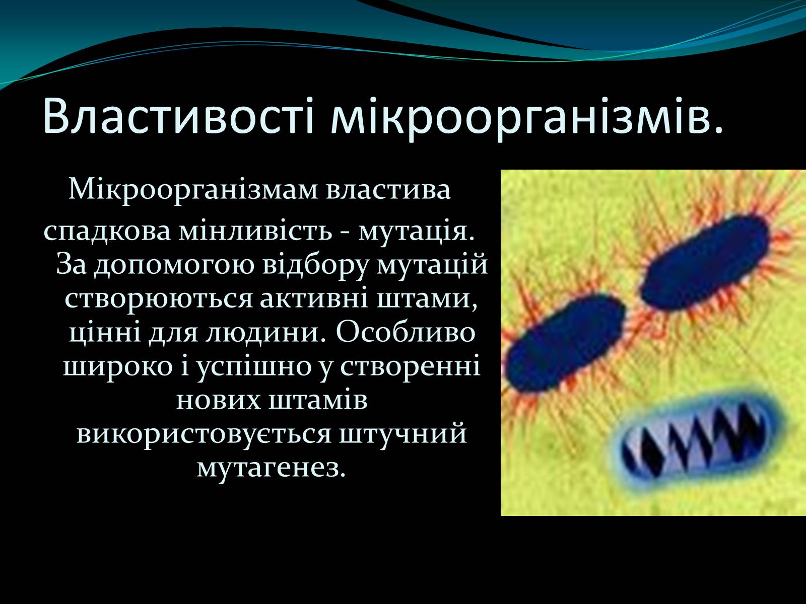Презентація на тему «Мікроорганізми» - Слайд #4