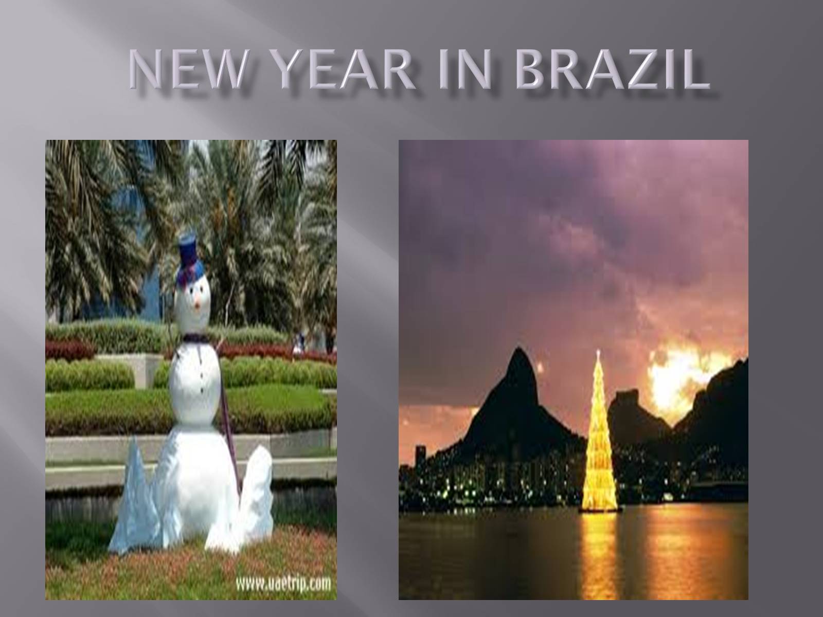 Презентація на тему «New Year in Brazil» - Слайд #1