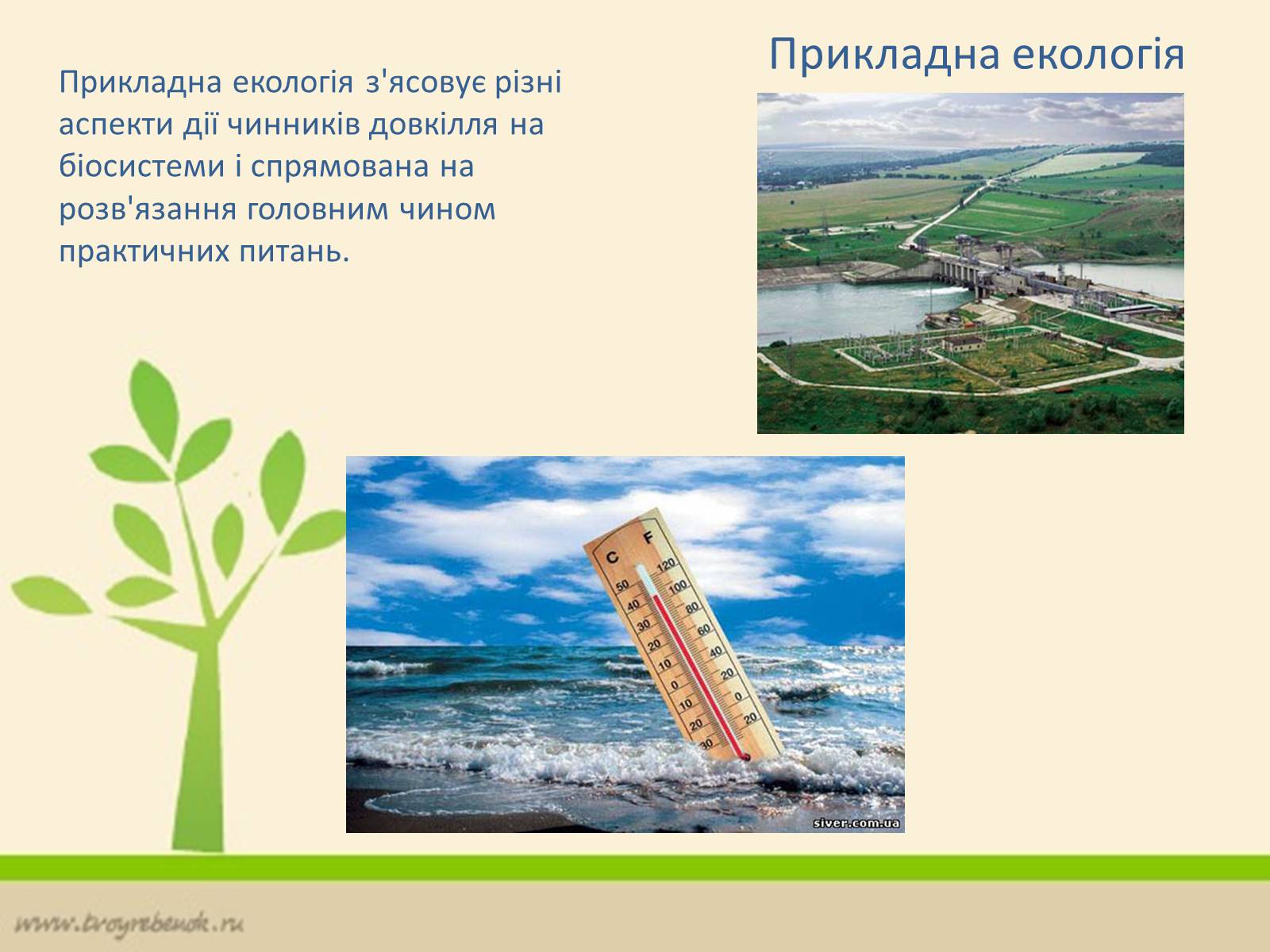 Презентація на тему «Екологія» (варіант 6) - Слайд #12