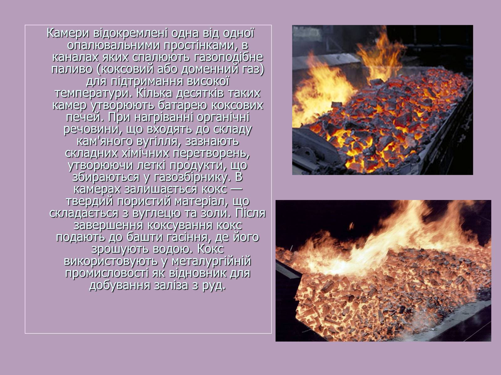 Презентація на тему «Кам’яне вугілля» (варіант 8) - Слайд #12