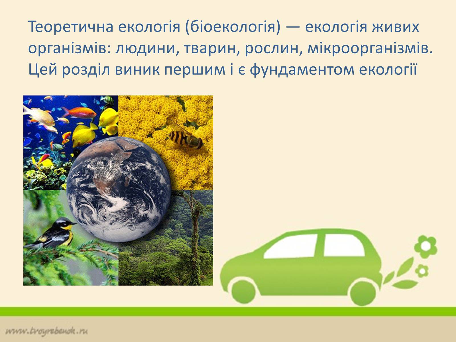 Презентація на тему «Екологія» (варіант 6) - Слайд #14