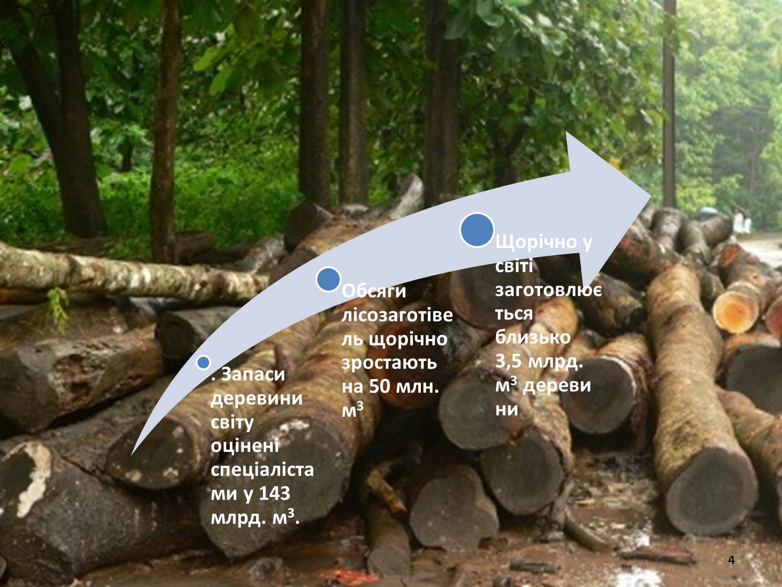 Презентація на тему «Лісова та деревообробна промисловість світу» - Слайд #4