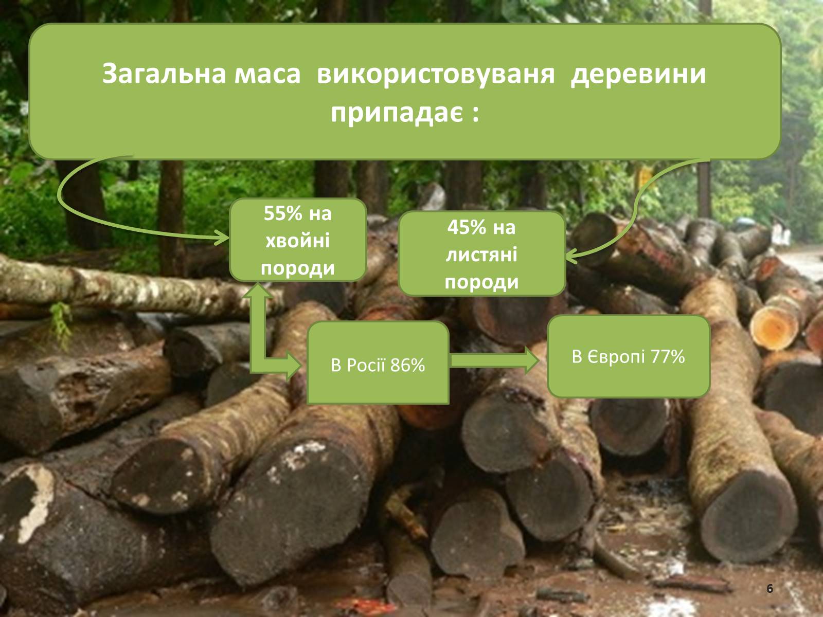 Презентація на тему «Лісова та деревообробна промисловість світу» - Слайд #6