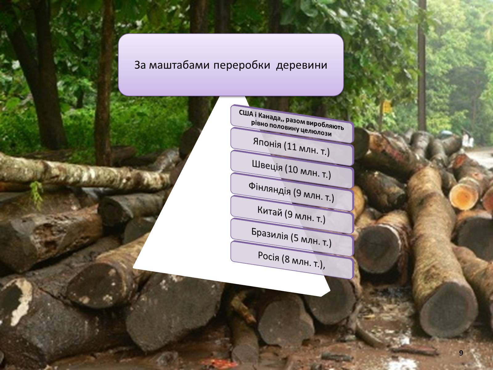 Презентація на тему «Лісова та деревообробна промисловість світу» - Слайд #9