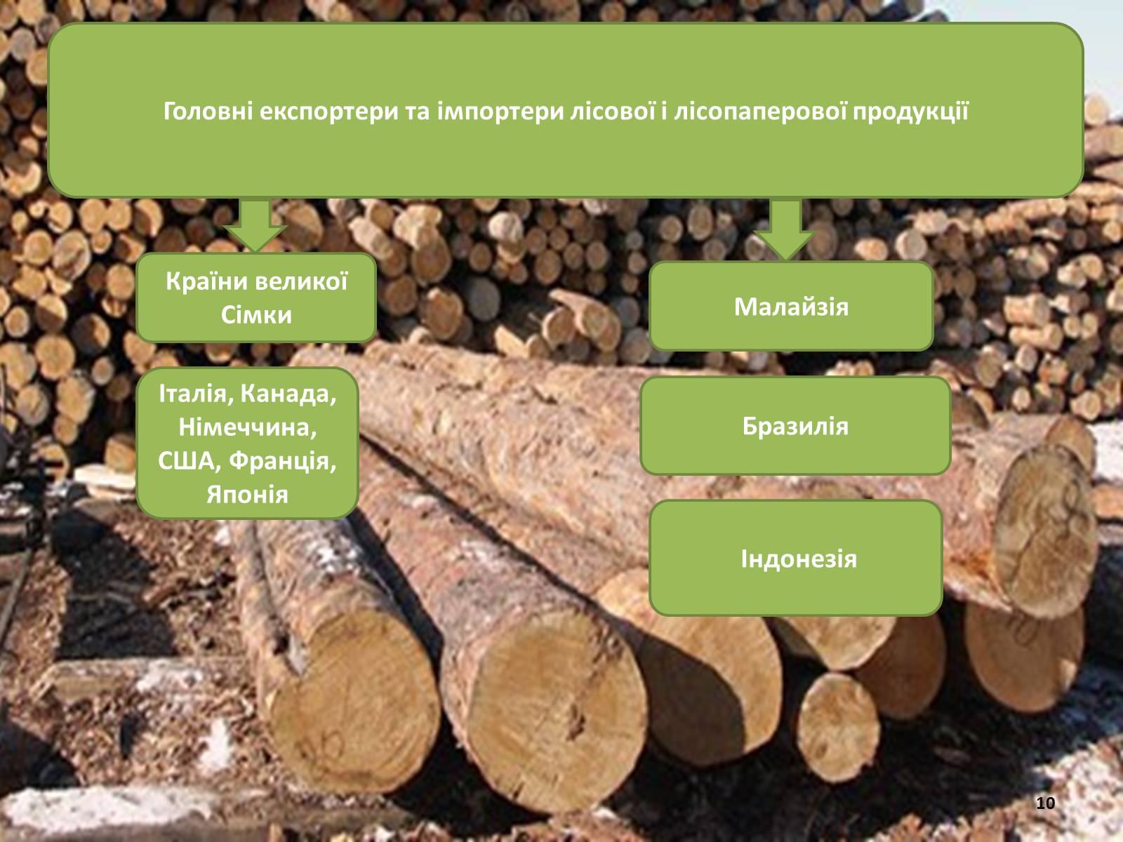 Презентація на тему «Лісова та деревообробна промисловість світу» - Слайд #10