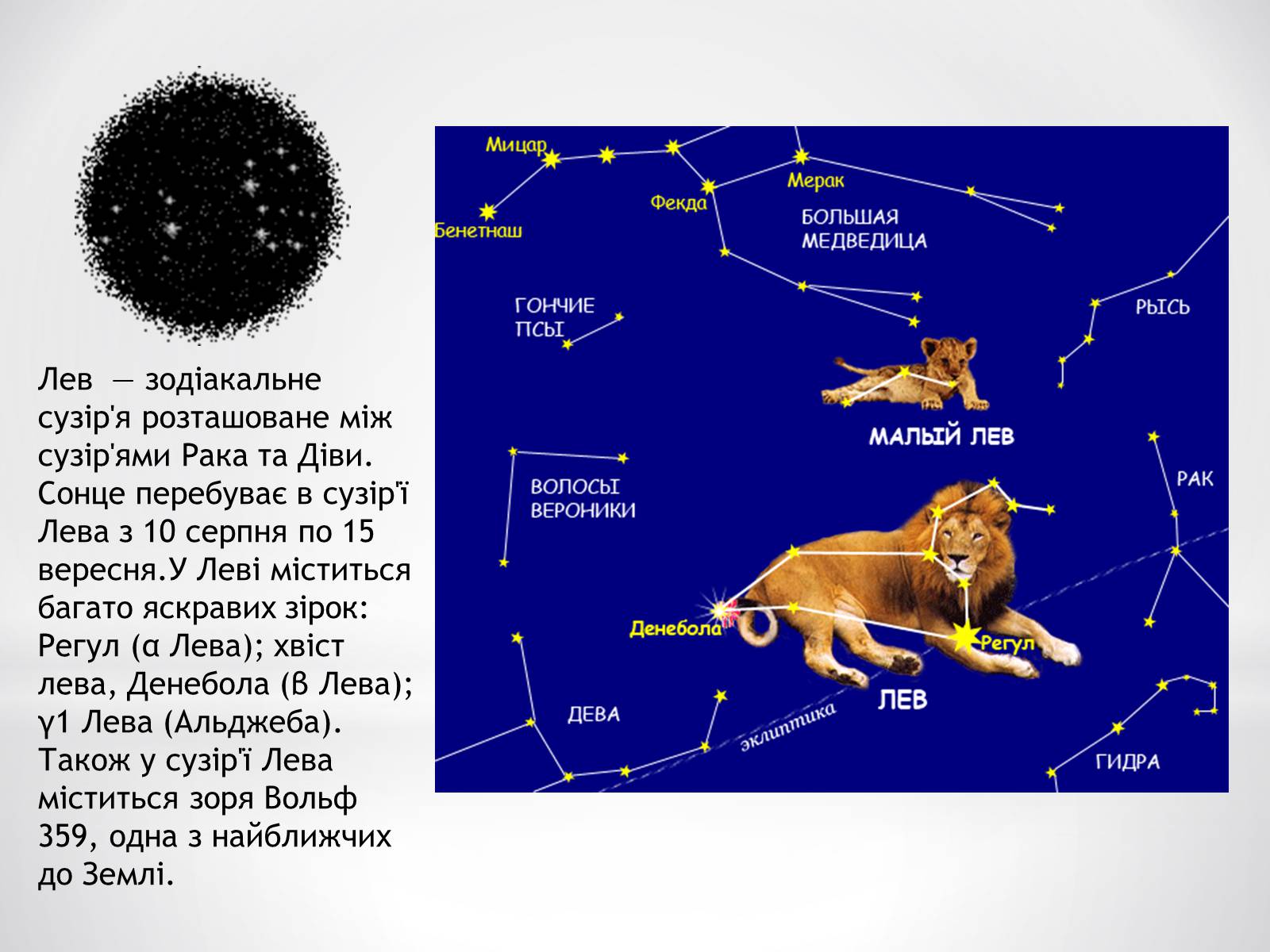Презентація на тему «Зодіакальні сузір’я» - Слайд #7