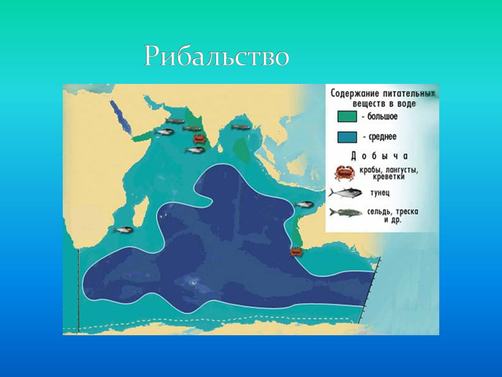 Презентація на тему «Індійській океан» - Слайд #26