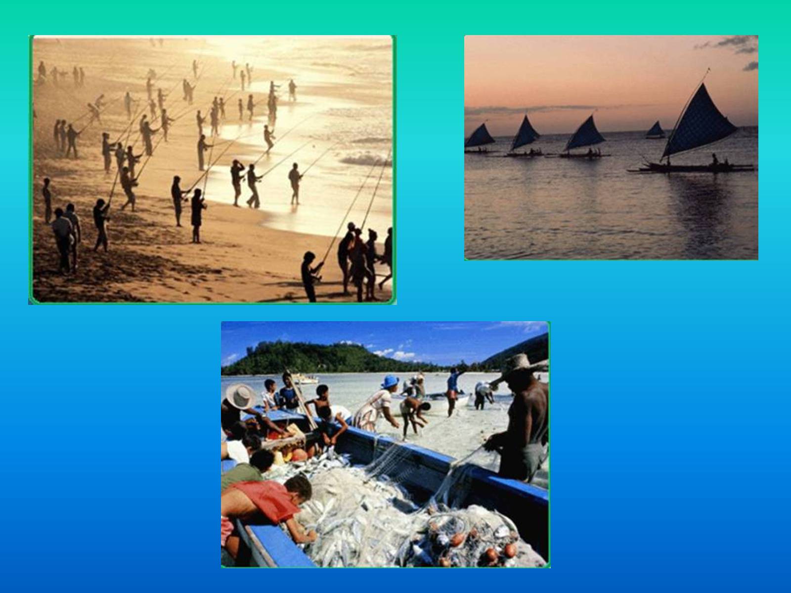 Презентація на тему «Індійській океан» - Слайд #27