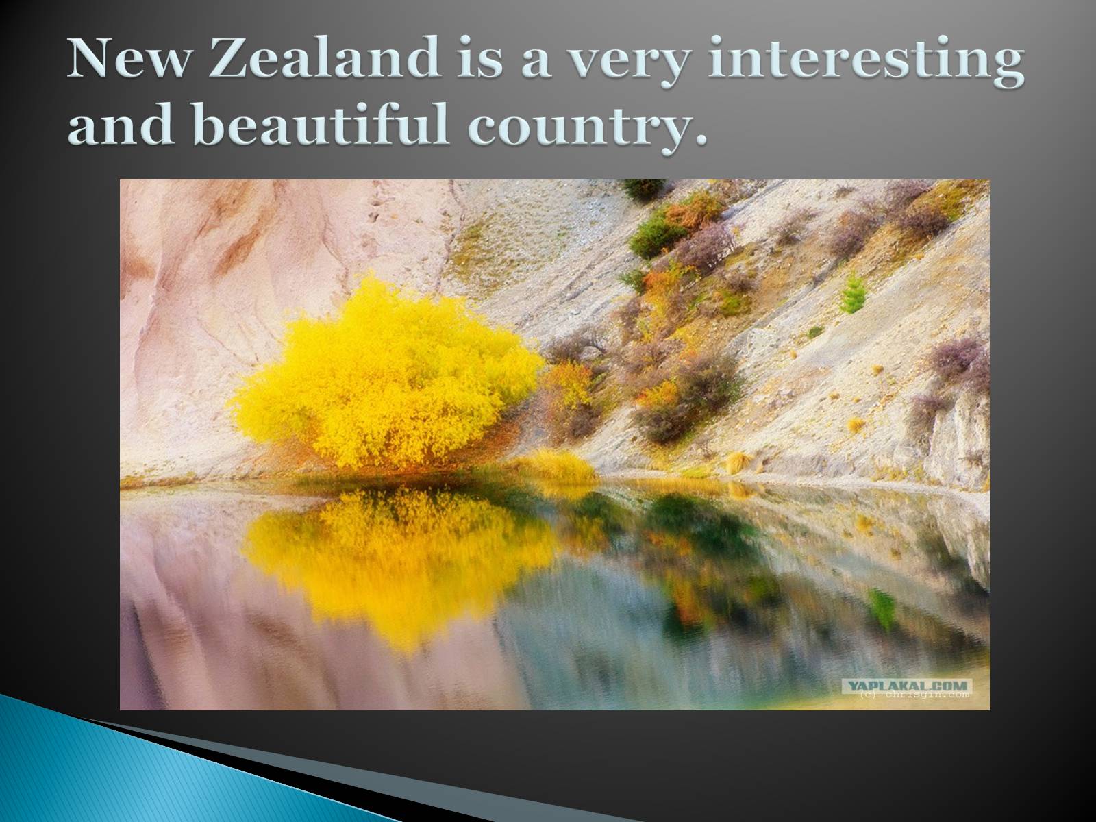 Презентація на тему «New Zealand» (варіант 7) - Слайд #2