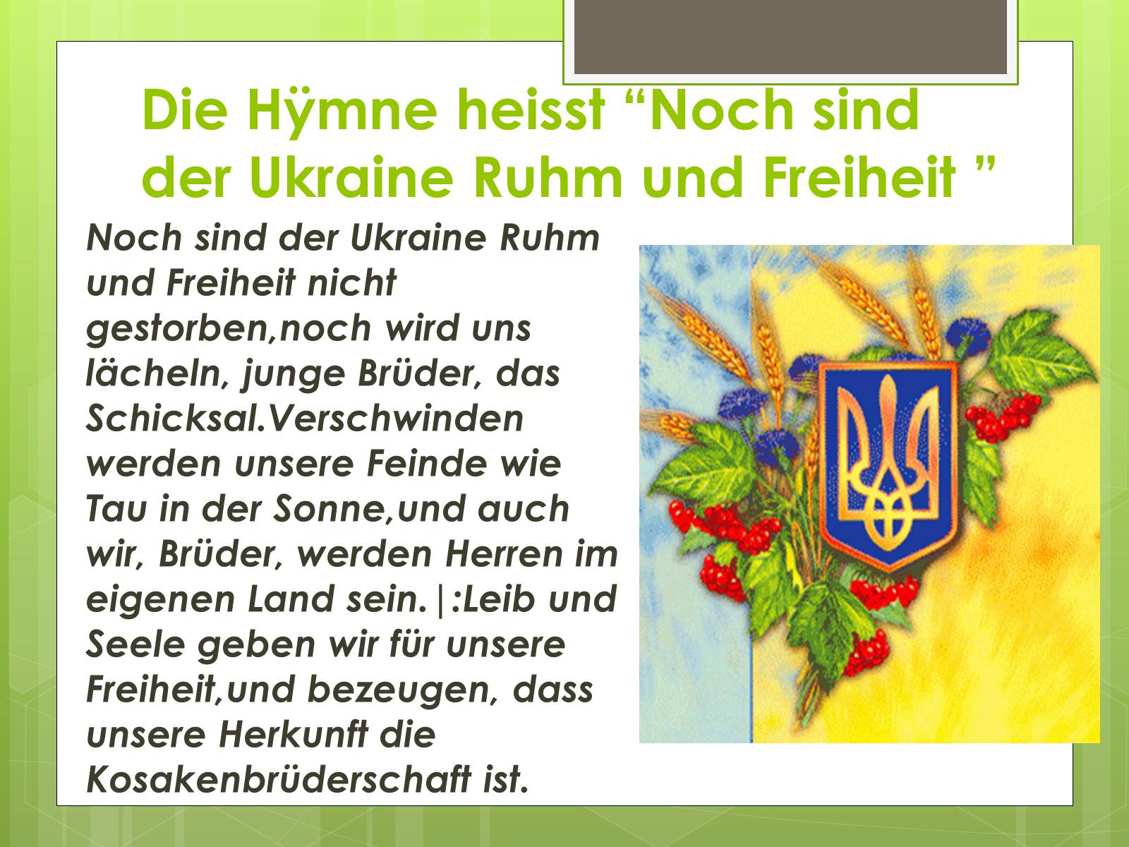 Презентація на тему «Die Ukraine» (варіант 4) - Слайд #12