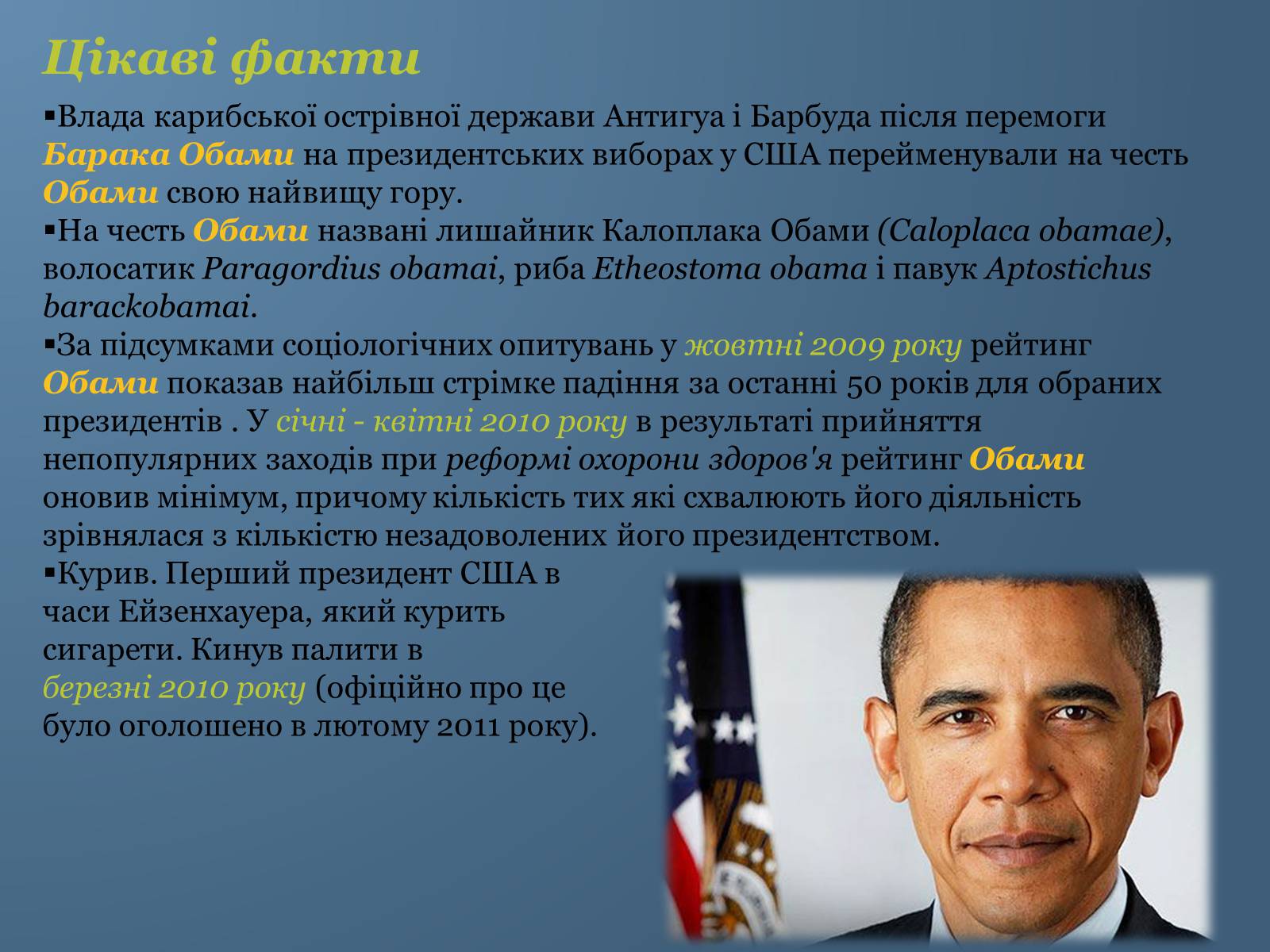 Презентація на тему «Барак Обама» (варіант 6) - Слайд #17