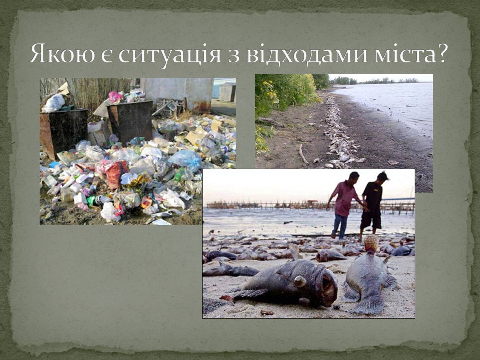 Презентація на тему «Екологічна ситуація міста Кривий Ріг» - Слайд #23