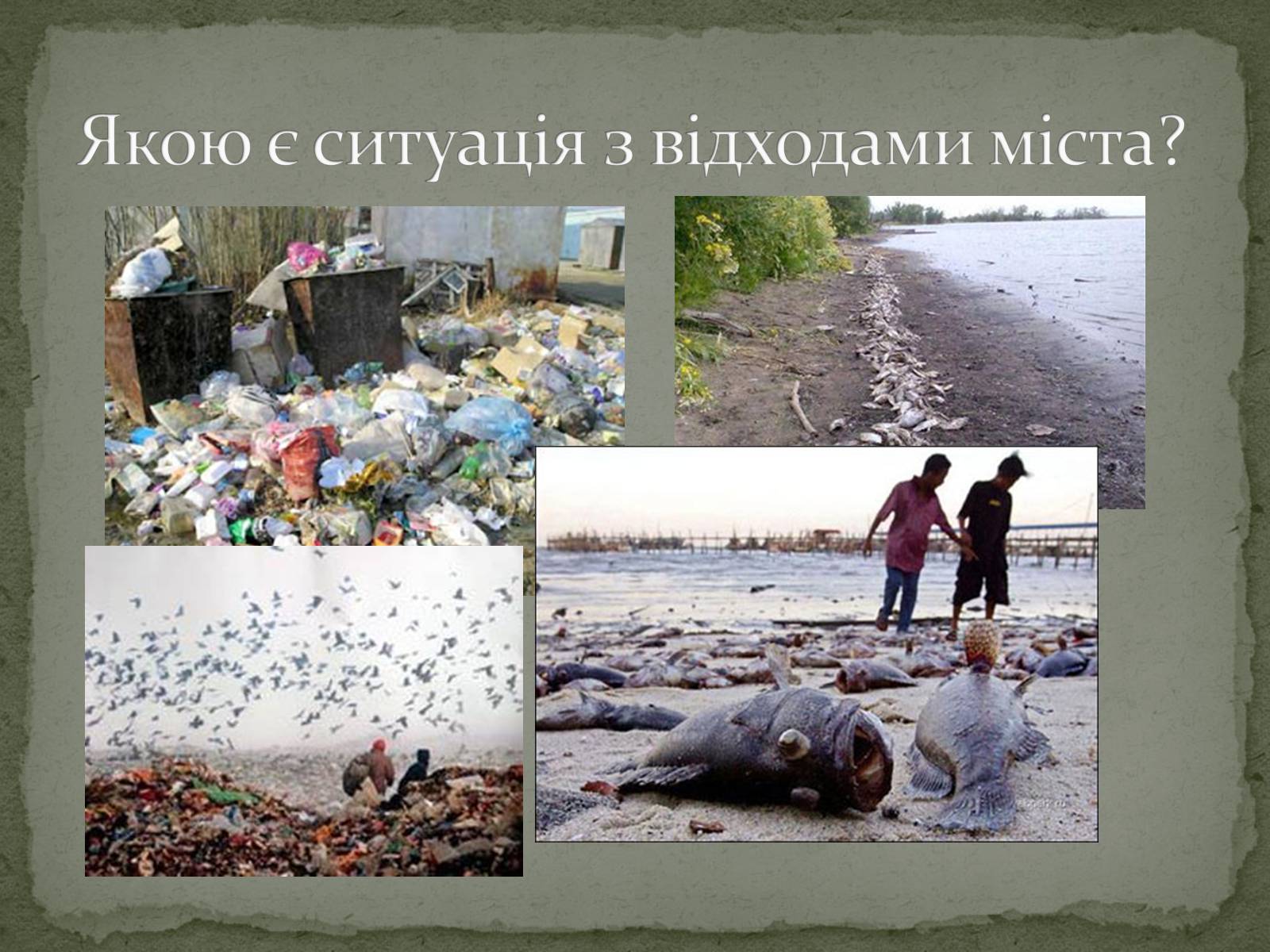 Презентація на тему «Екологічна ситуація міста Кривий Ріг» - Слайд #24