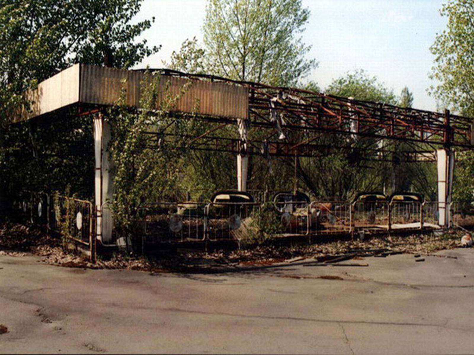 Презентація на тему «Чернобыль» - Слайд #7