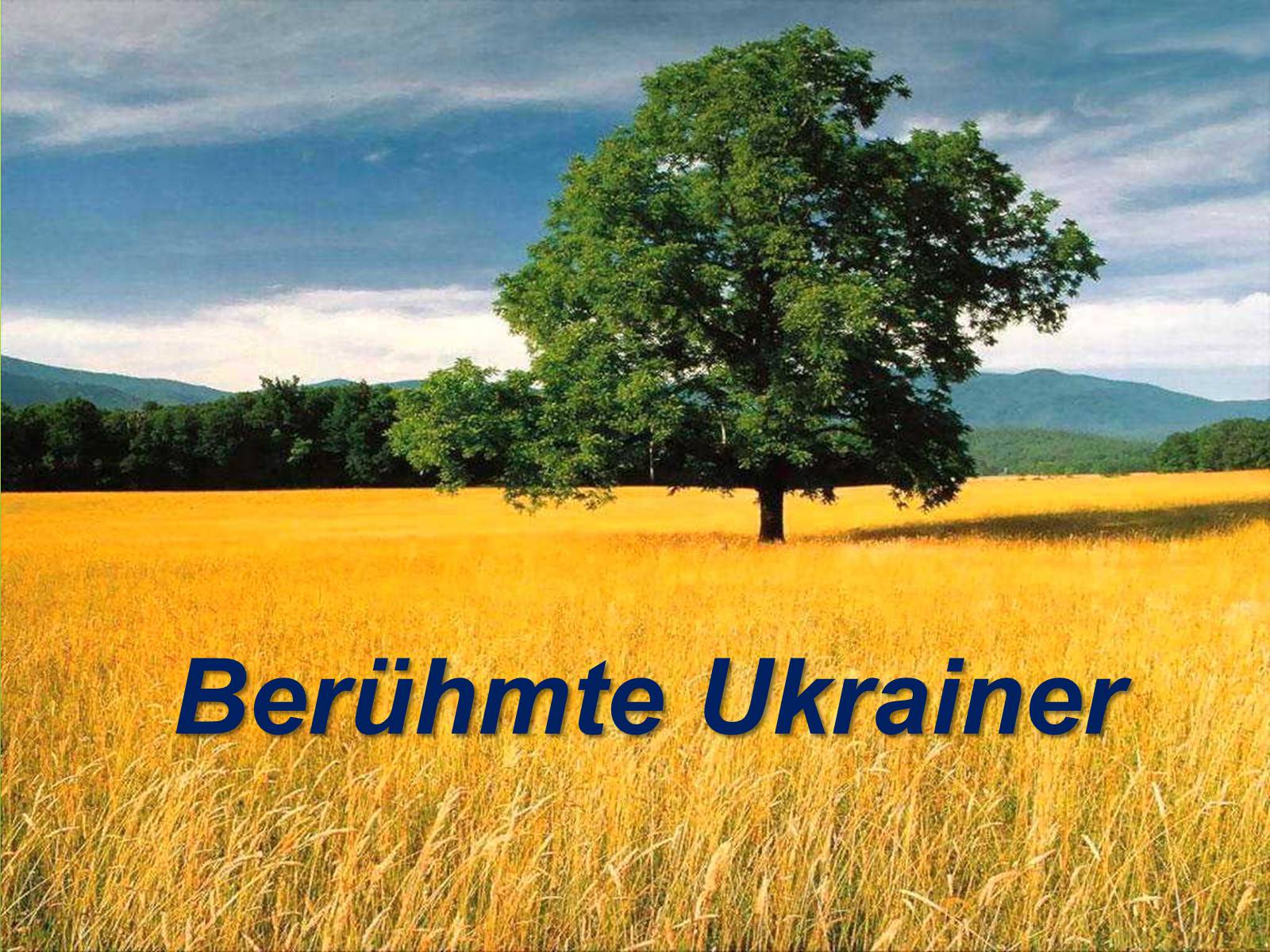 Презентація на тему «Die Ukraine» (варіант 4) - Слайд #27