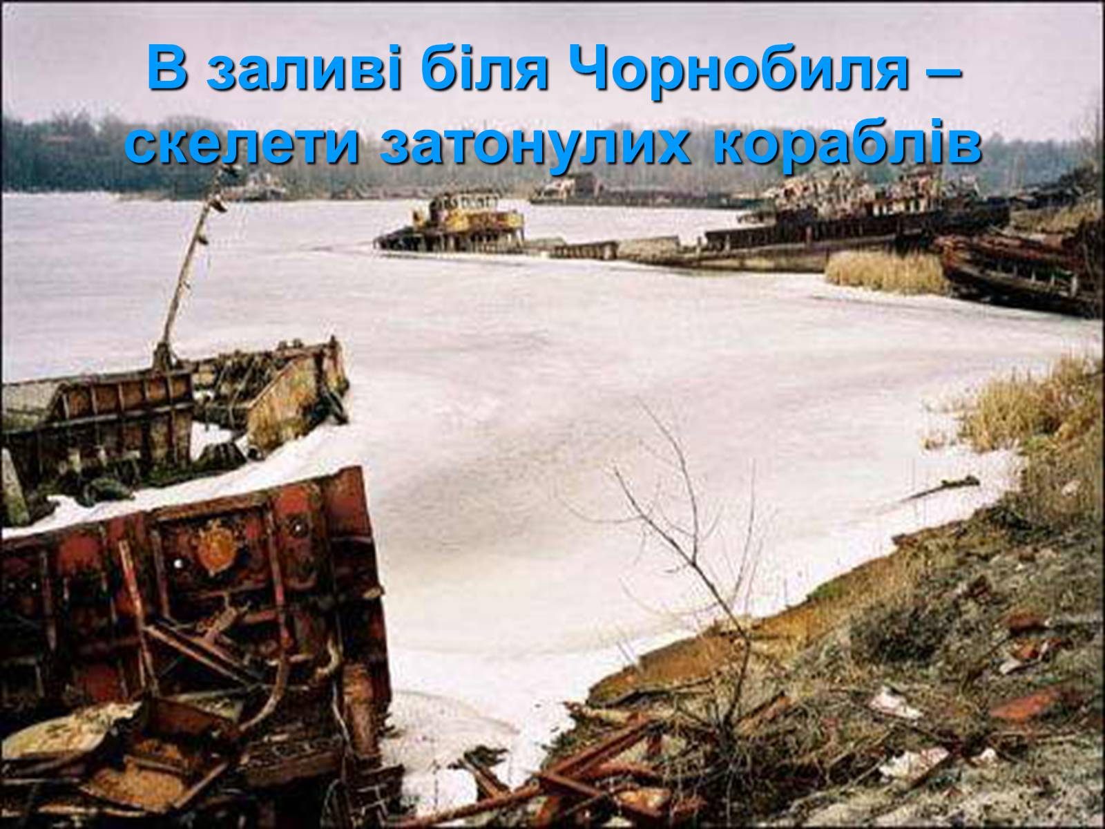 Презентація на тему «Чорнобиль. 20 років потому» - Слайд #11