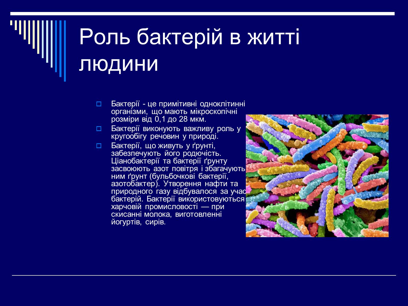 Презентація на тему «Бактеріологічна зброя» - Слайд #3