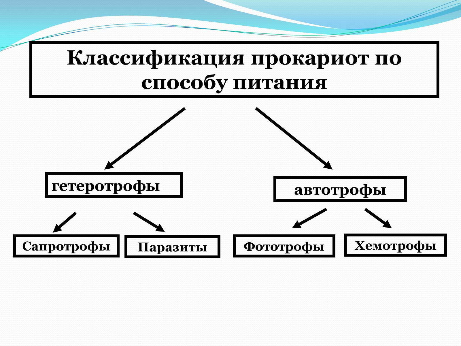 Презентація на тему «Прокариоты» (варіант 1) - Слайд #14