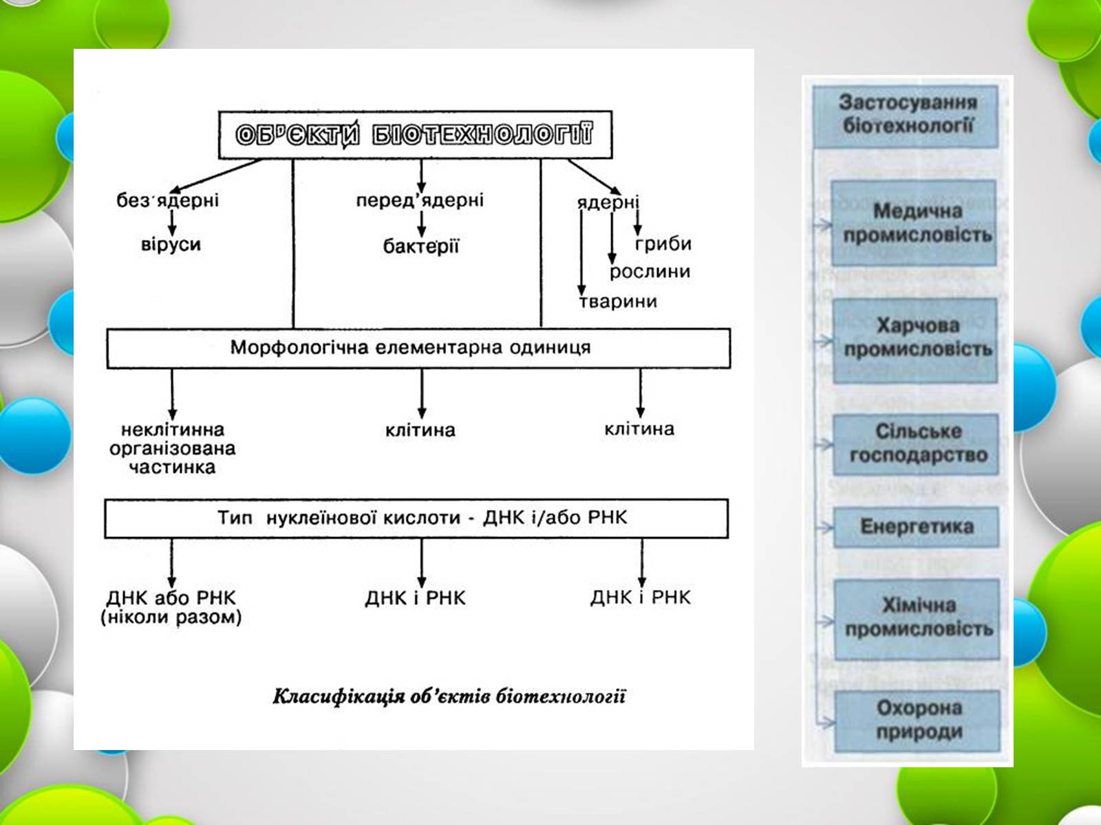 Презентація на тему «Біотехнології» (варіант 1) - Слайд #3