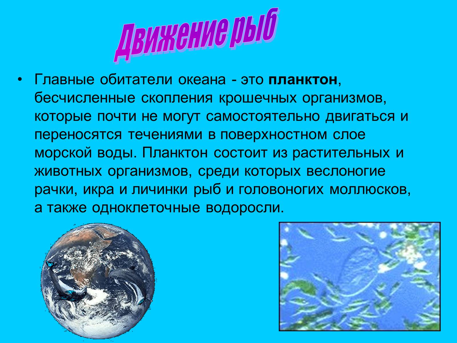 Презентація на тему «Водная среда» - Слайд #2