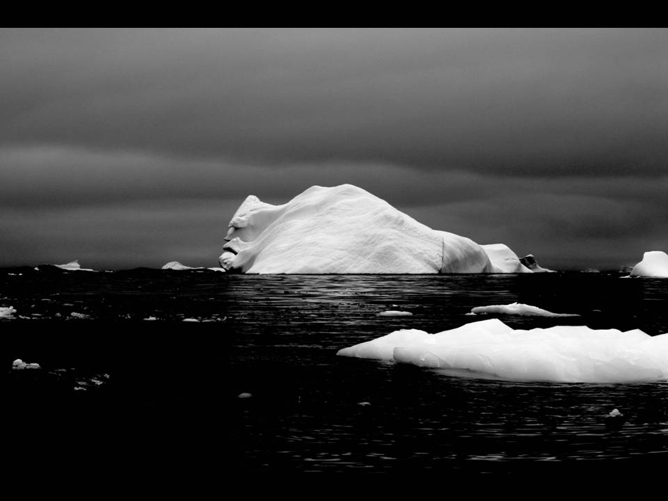 Презентація на тему «Антарктида» (варіант 6) - Слайд #16