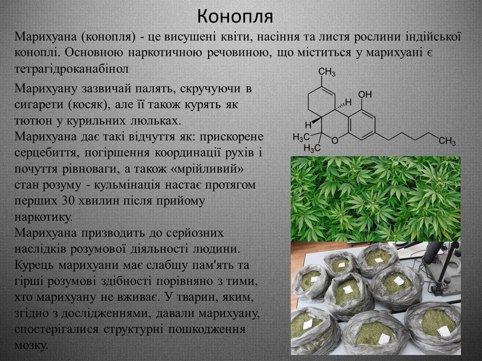 Презентація на тему «Шкідливий вплив вживання наркотичних речовин на організм людини» - Слайд #7