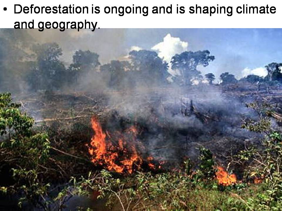 Презентація на тему «Deforestation» (варіант 3) - Слайд #3