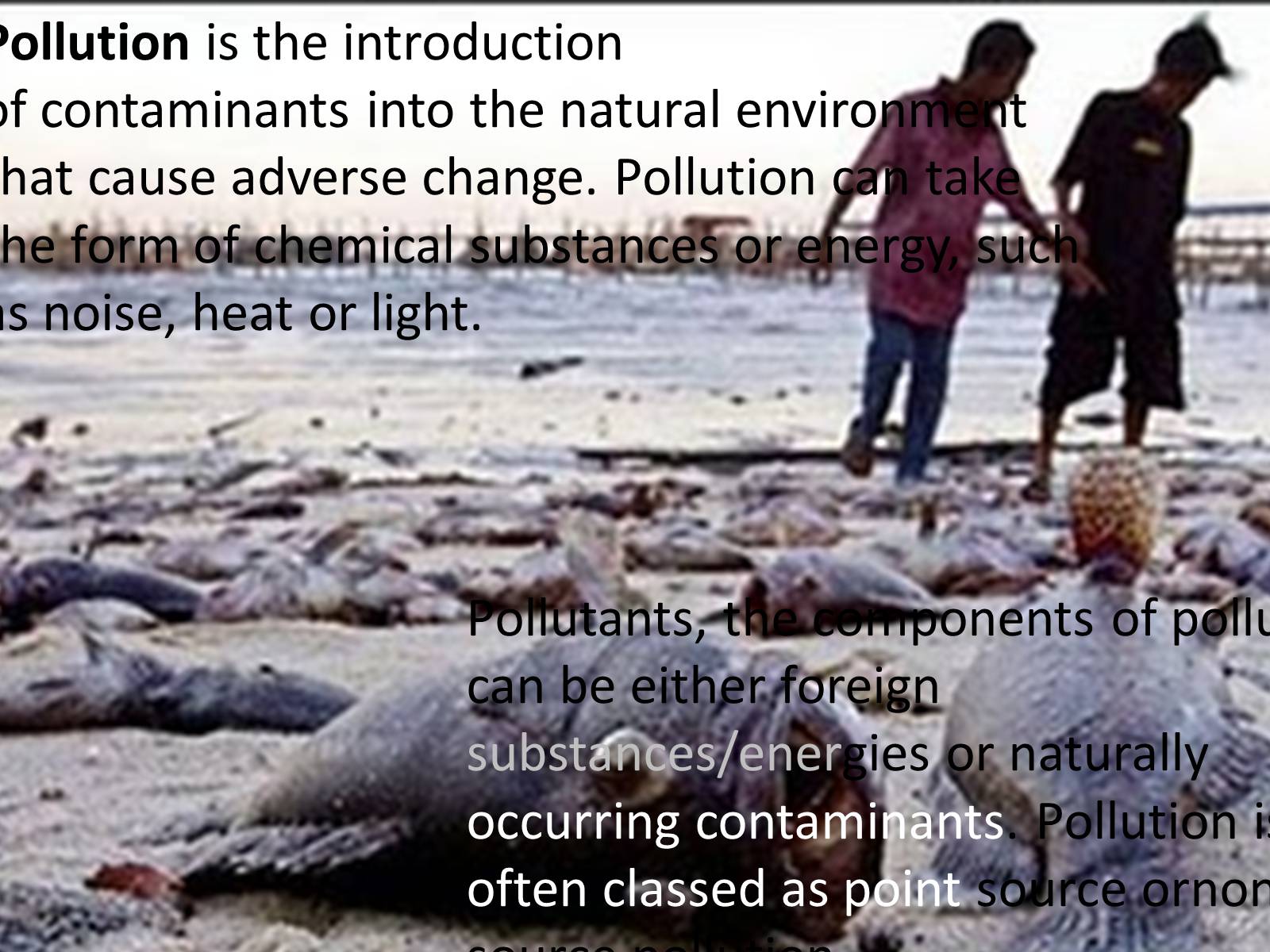 Презентація на тему «Pollution» (варіант 4) - Слайд #2