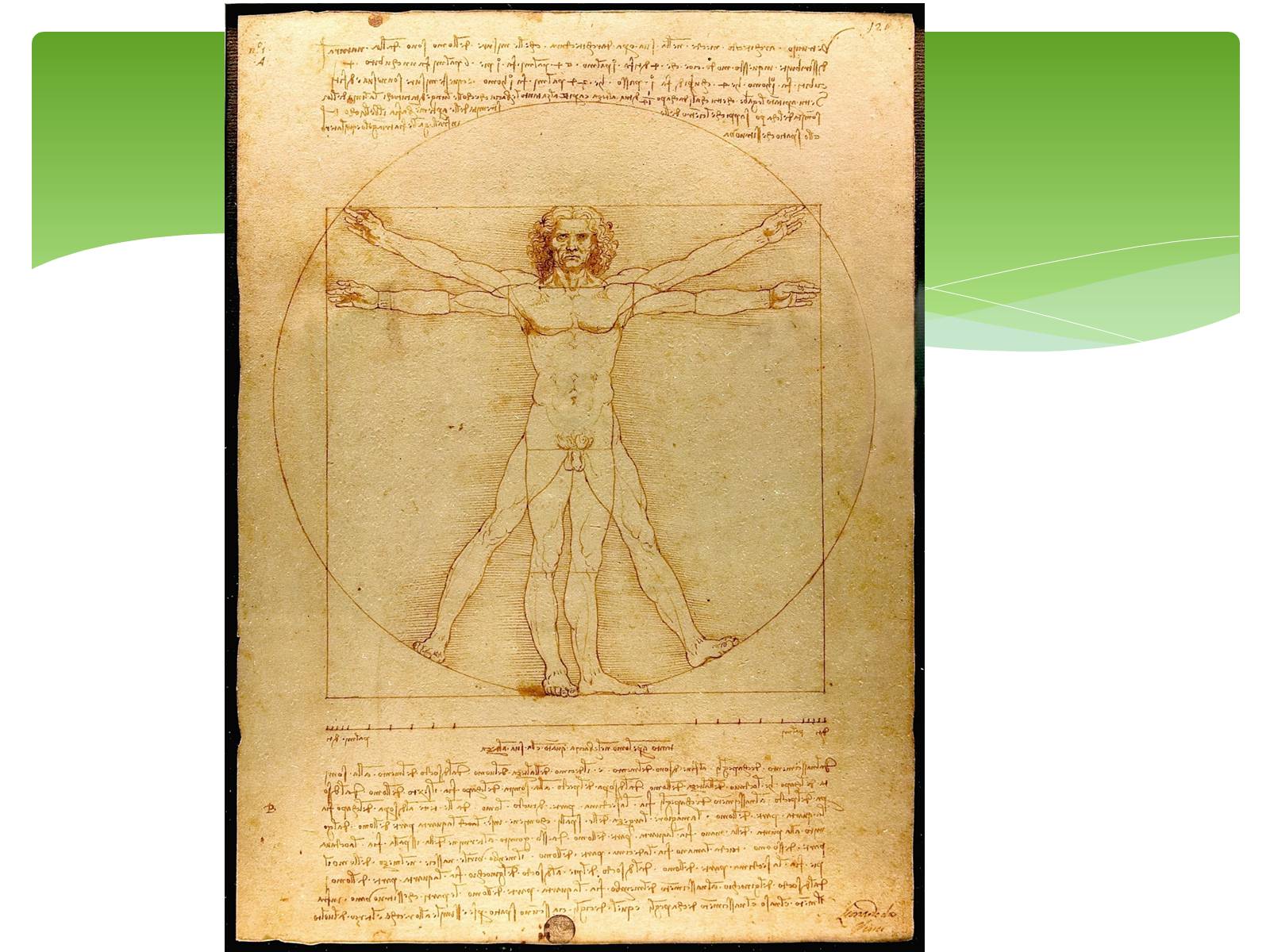 Презентація на тему «Леонардо да Вінчі» (варіант 12) - Слайд #18