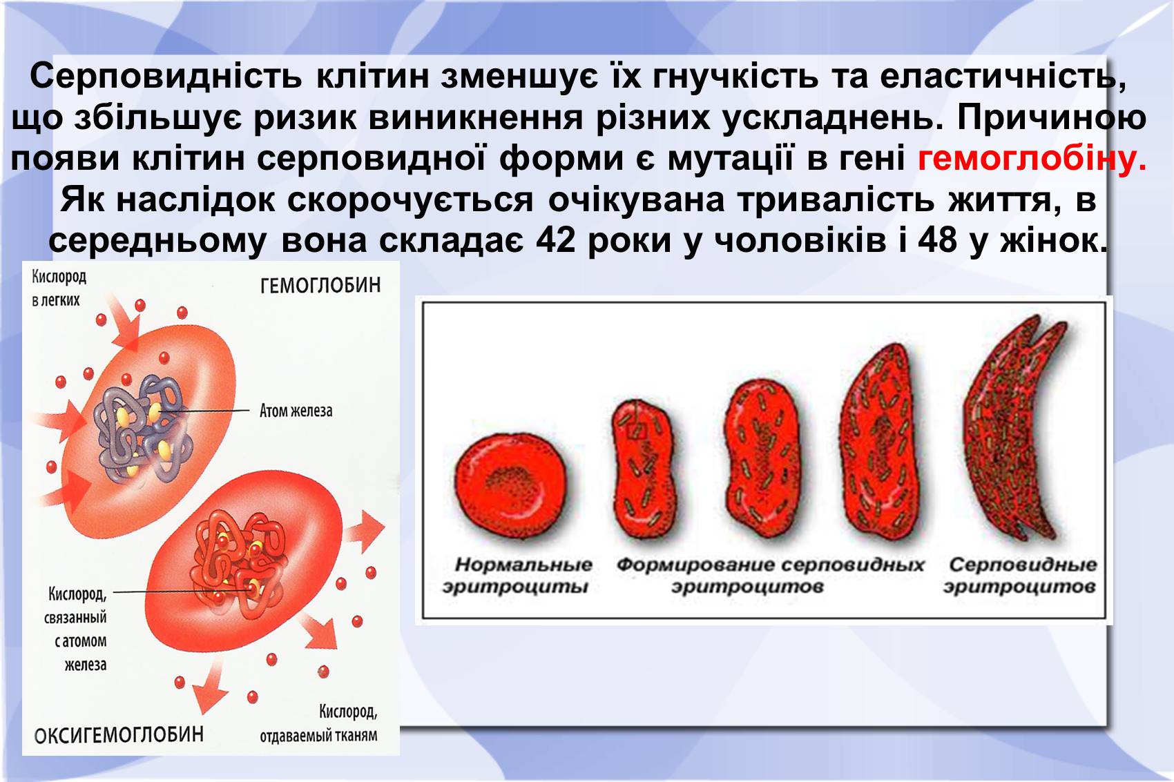 Презентація на тему «Серповидно-клітинна анемія» - Слайд #8