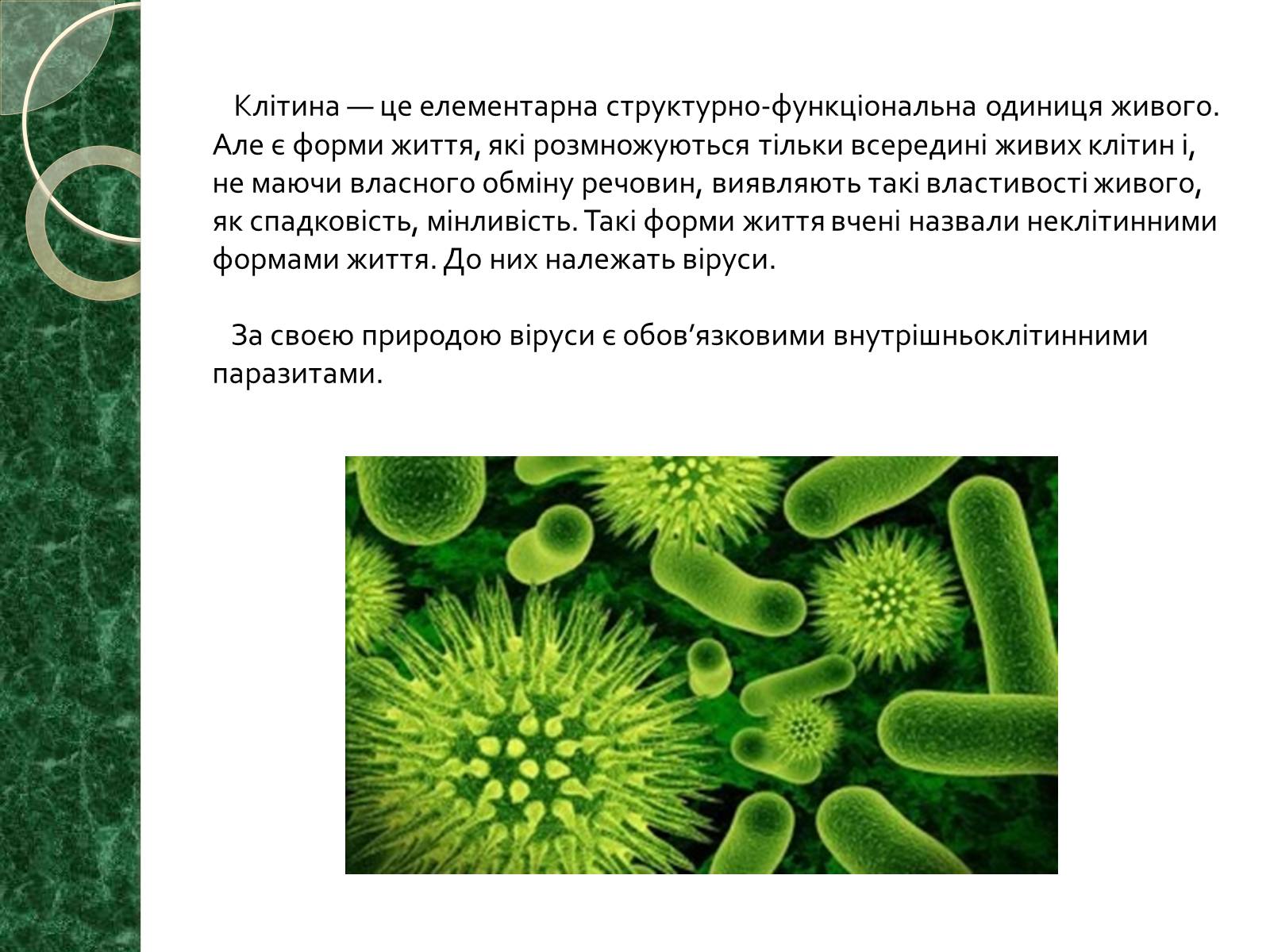 Презентація на тему «Віруси» (варіант 15) - Слайд #2