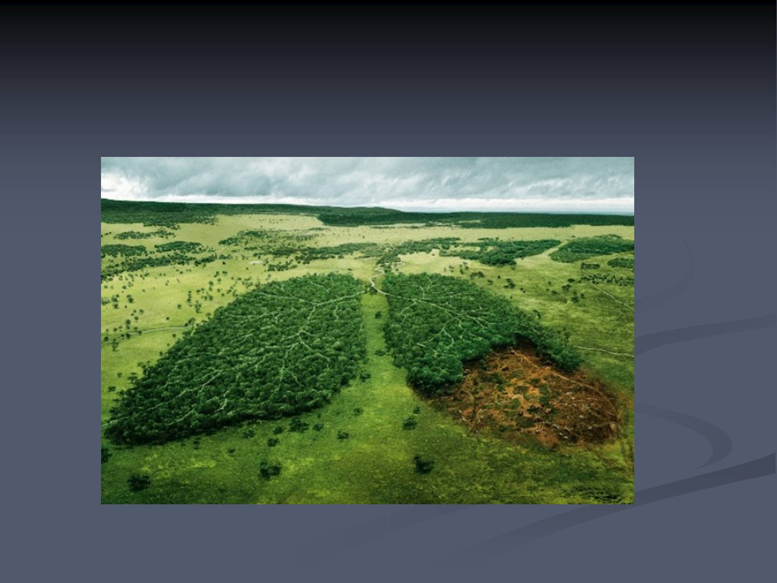 Презентація на тему «Екологічні проблеми сучасності» - Слайд #25