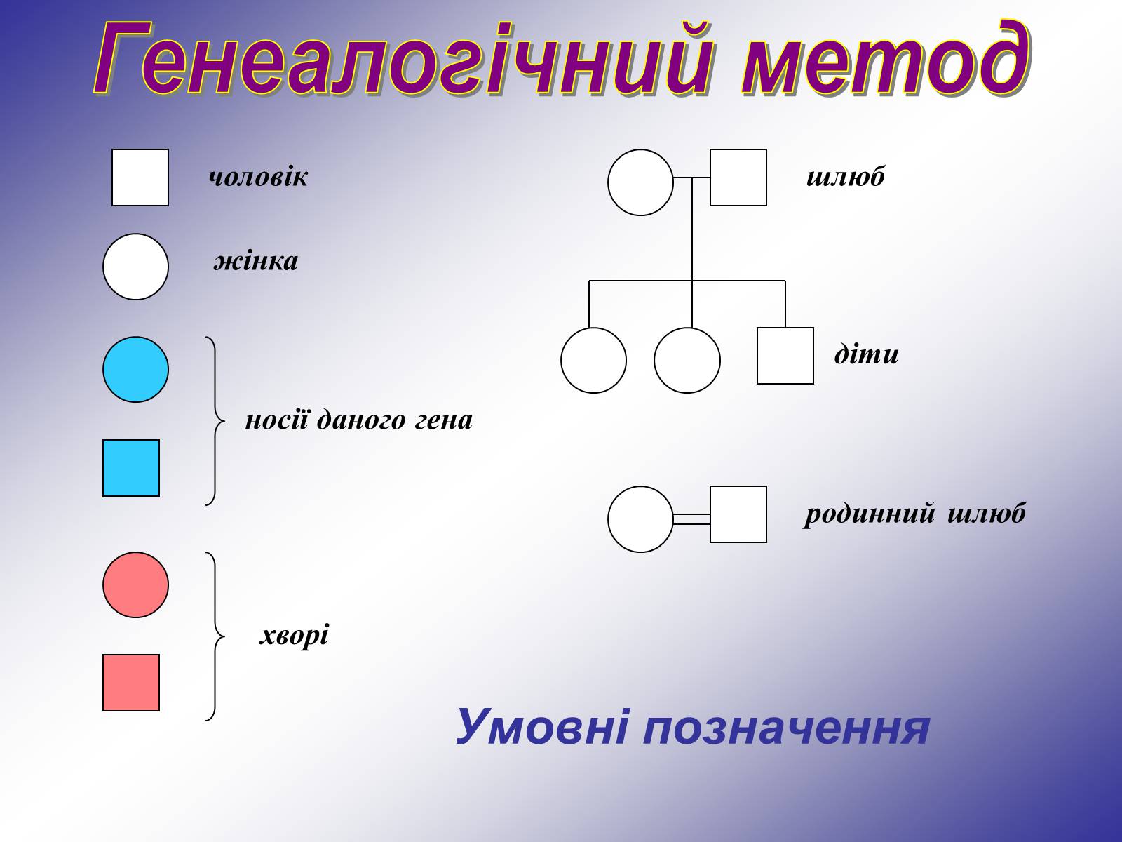 Презентація на тему «Генетика людини» (варіант 1) - Слайд #14