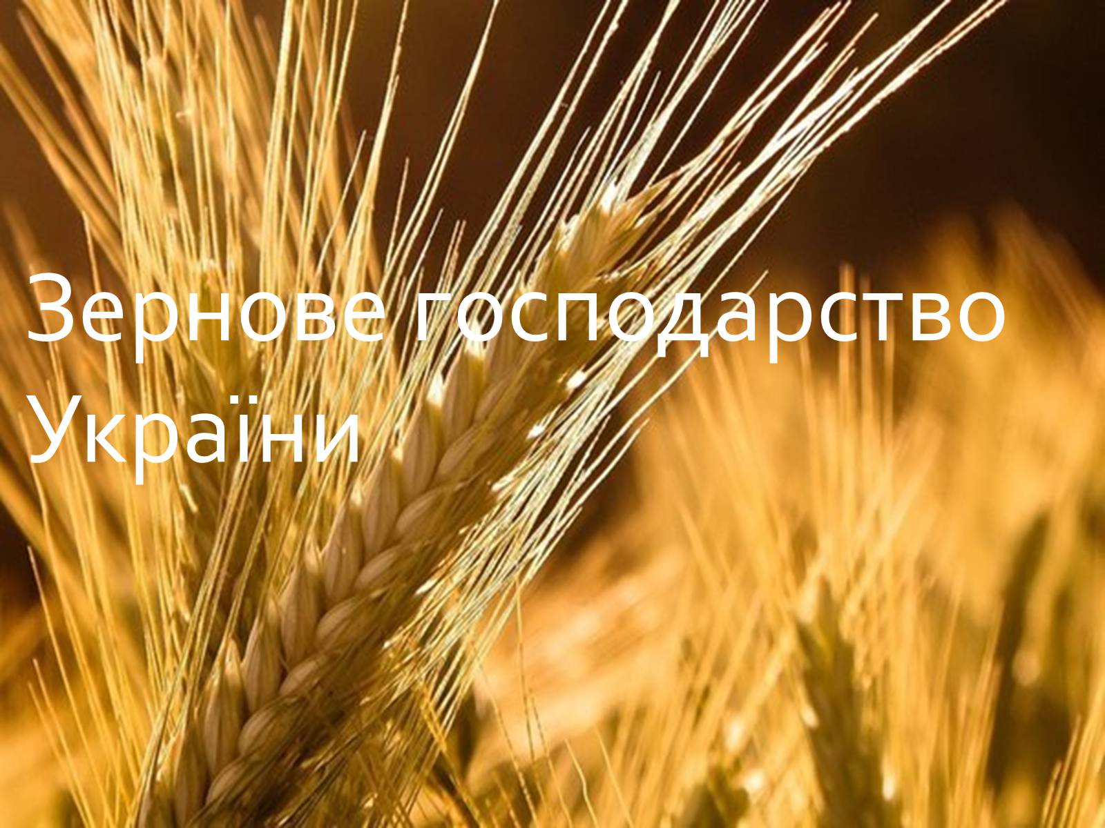 Презентація на тему «Зернове господарство України» - Слайд #1