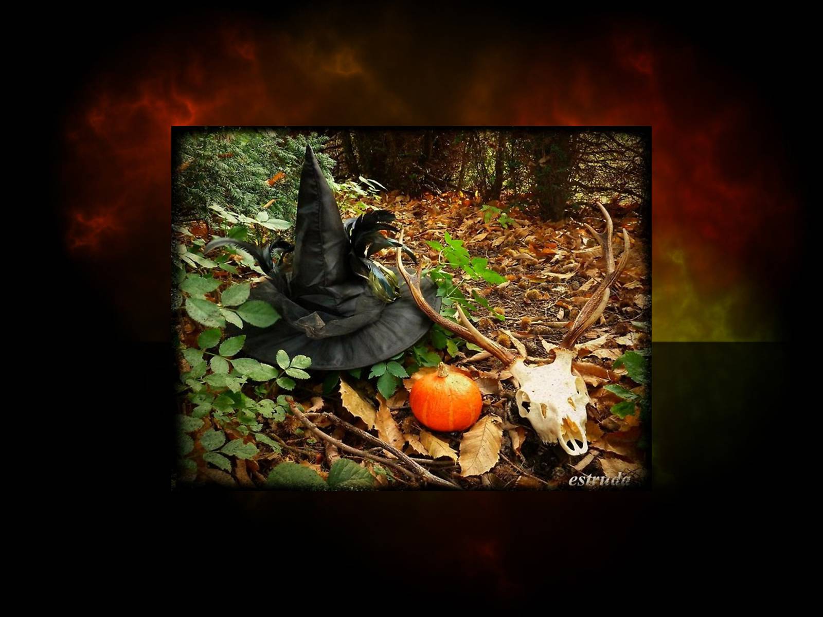 Презентація на тему «Halloween» (варіант 4) - Слайд #20