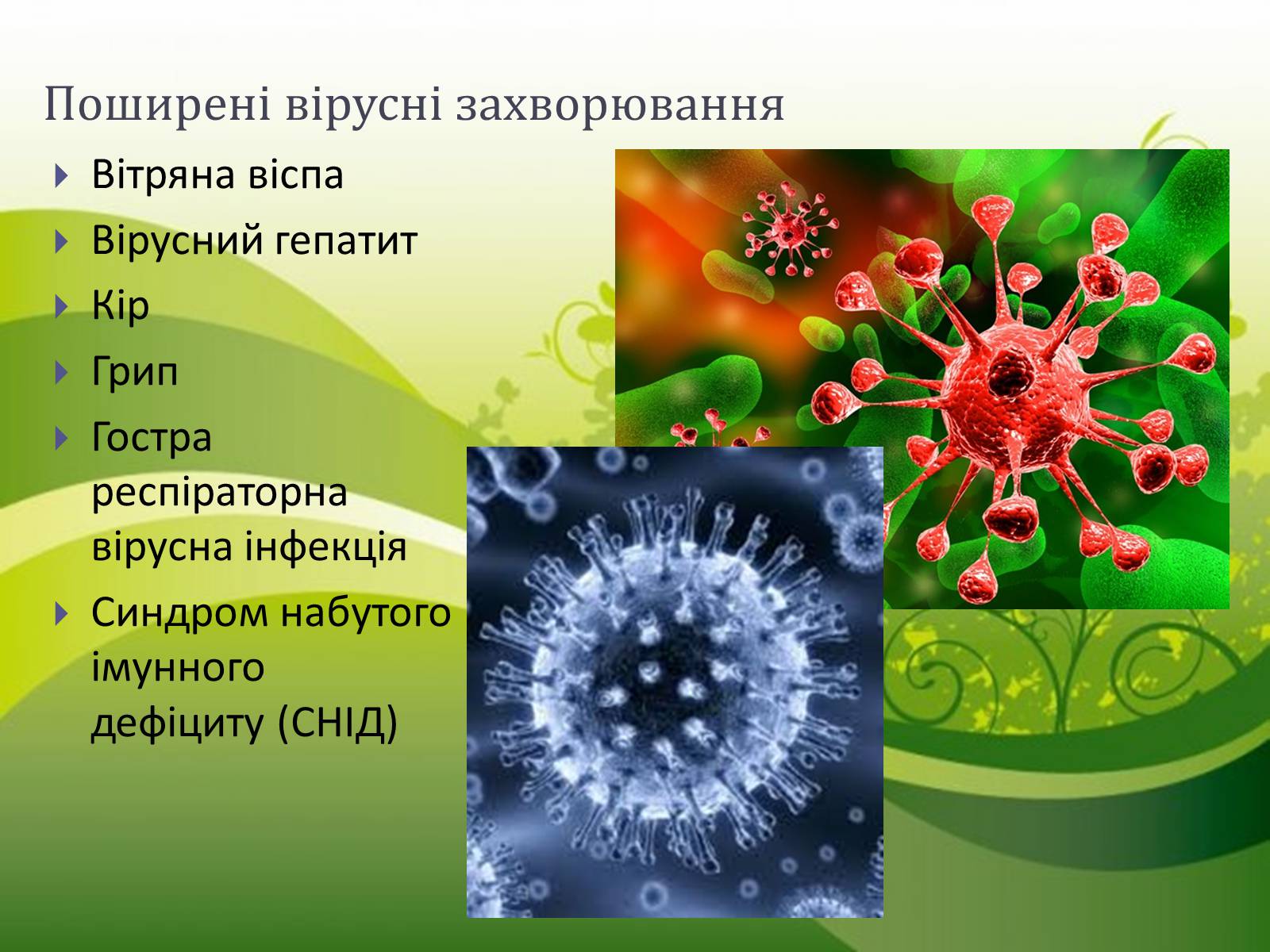 Презентація на тему «Віруси» (варіант 16) - Слайд #10
