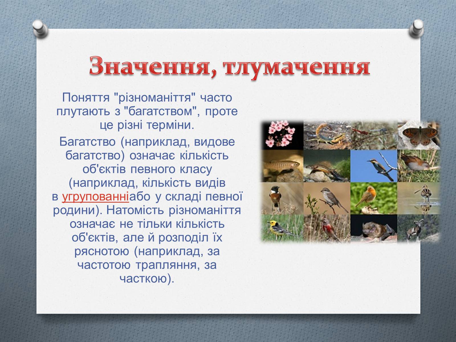 Презентація на тему «Біорізноманіття» (варіант 4) - Слайд #4