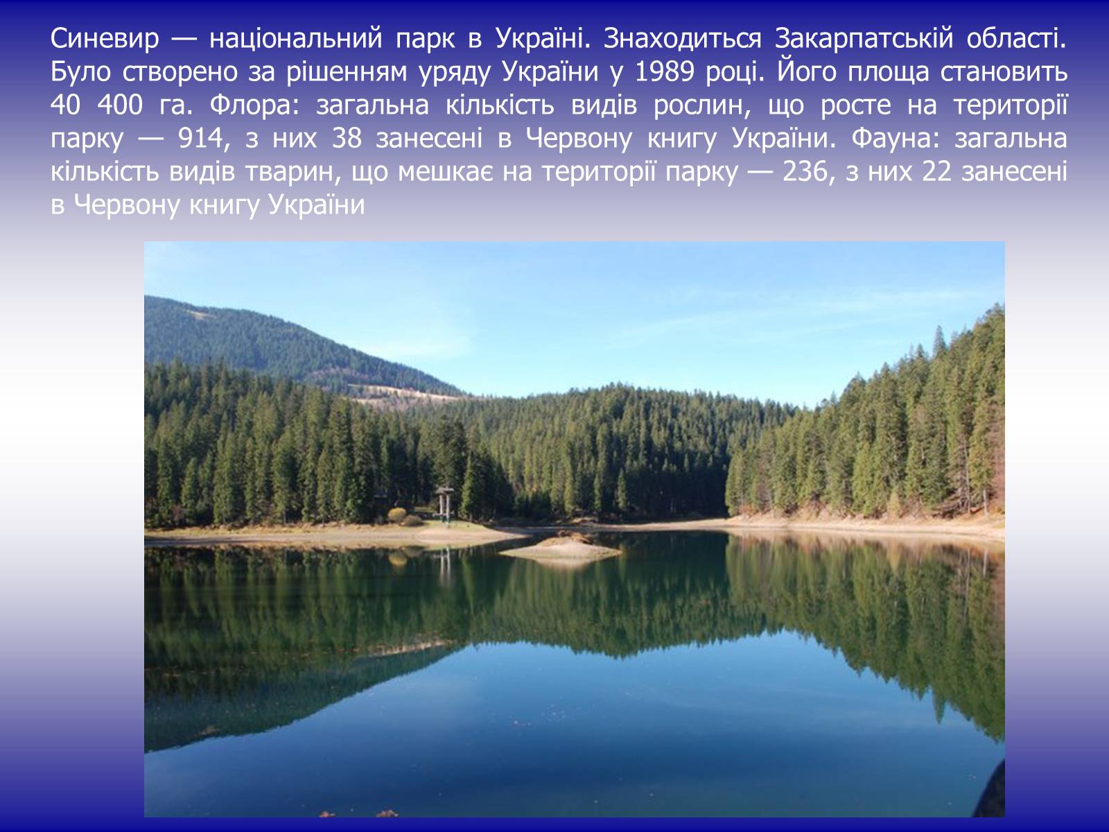Презентація на тему «Національні природні парки України» (варіант 2) - Слайд #6