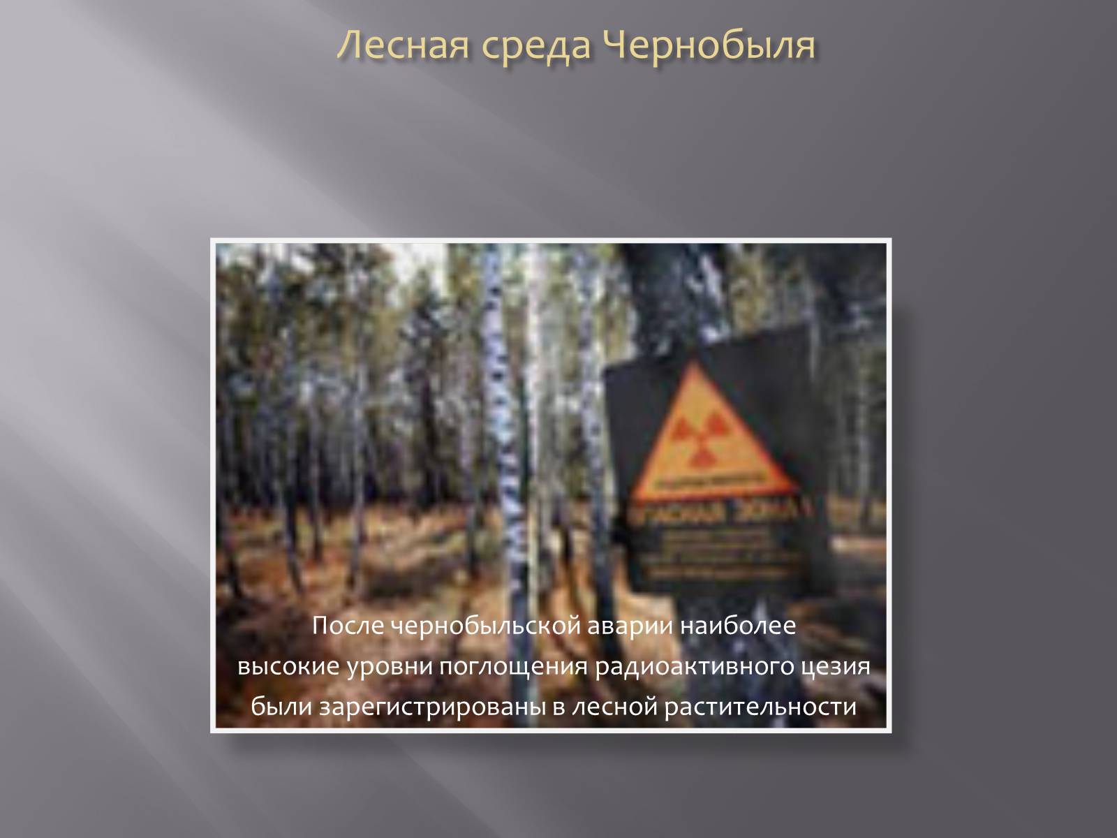 Презентація на тему «Авария на Чернобыльской атомной электростанции» - Слайд #11